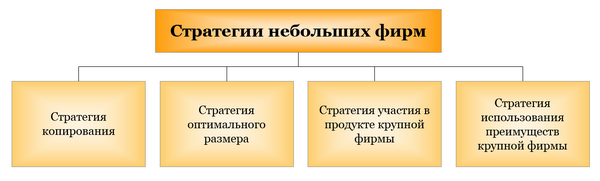 Стратегии небольших фирм Стратегии небольших фирм