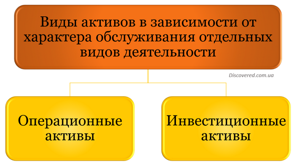 Виды активов в зависимости от характера обслуживания отдельных видов деятельности