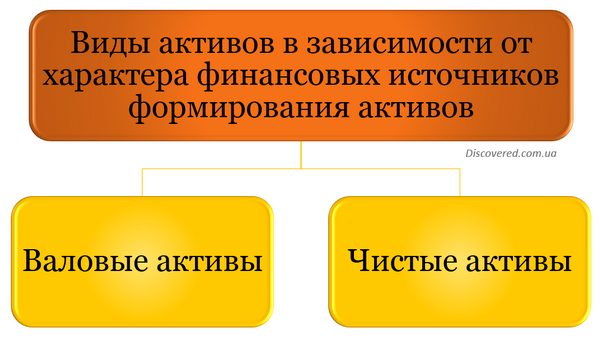 Виды активов в зависимости от характера финансовых источников формирования активов