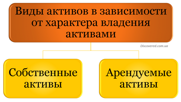 Виды активов в зависимости от характера владения активами
